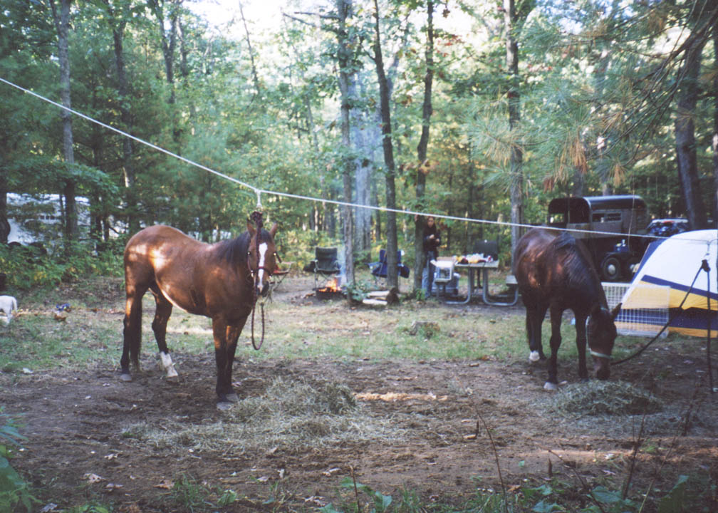 Horse camping